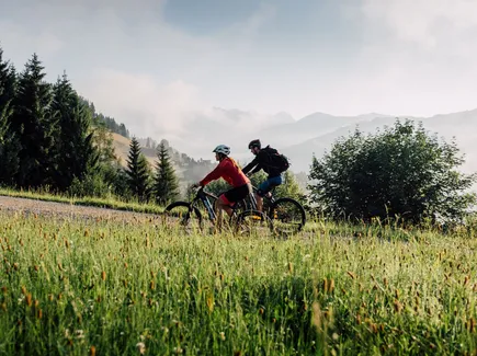 Tauernradweg - Alle Infos zur Strecke